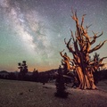 Origins-of-Life-on-Earth-Thomas-Sullivan